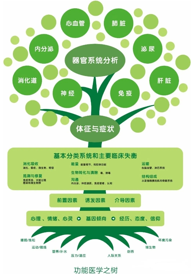 生命之树