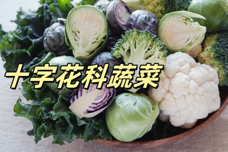 十字花科蔬菜