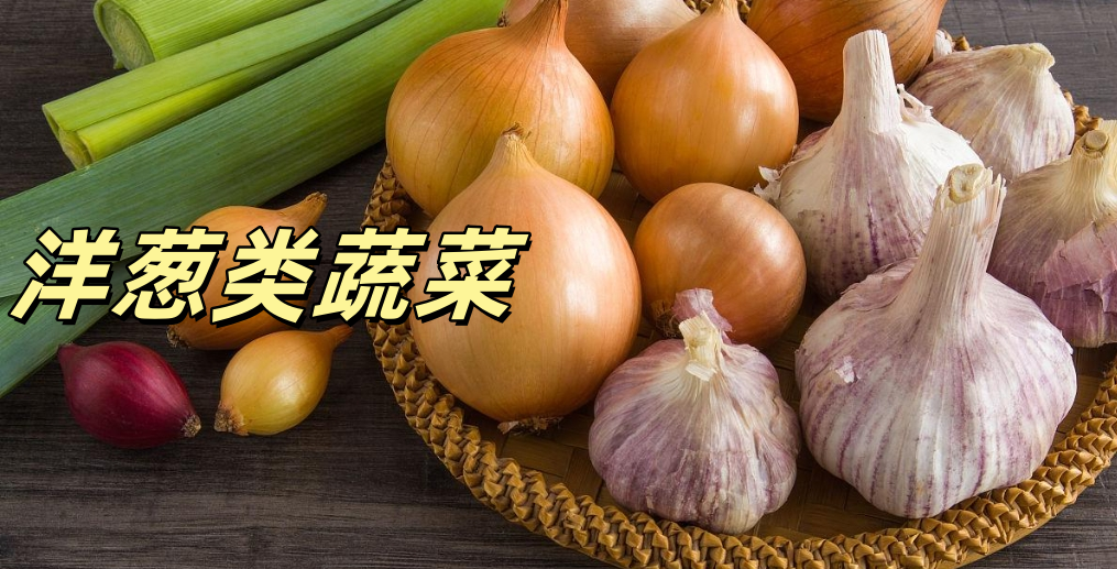 洋葱类蔬菜