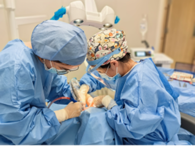 2-数字化种植牙,启航种牙新时代!244 2-数字化种植牙,启航种牙新时代!244